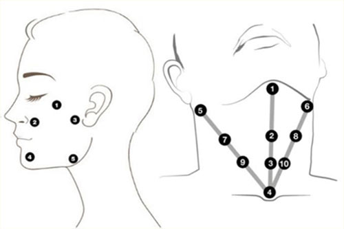 プロファイロ（次世代ヒアルロン酸）